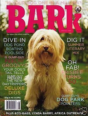   Aug 2007 TIBETAN TERRIER MIX Dog WATER COLLIES Fetch BULL MASTIFF