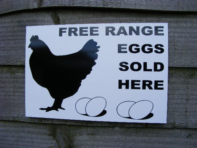 Free Range Eggs For Sale Chicken Hens Sign Farm