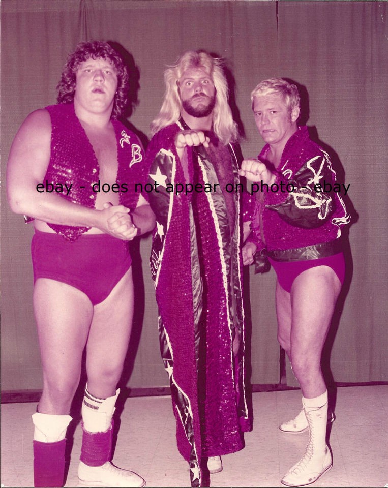 THE FABULOUS FREEBIRDS MICHAEL P.S. HAYES TERRY GORDY BUDDY ROBERTS 8 