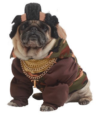 Pity The Fool Pet Mr. T Dog Halloween Costume Size Large