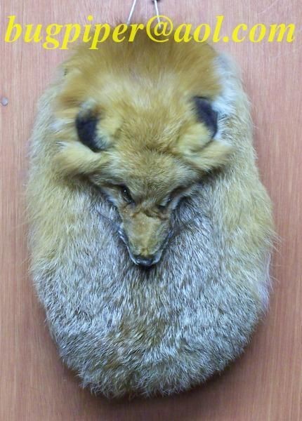 SPECTACULAR*​* Oversized Custom Full Fox Mask Sporran 4 Kilt