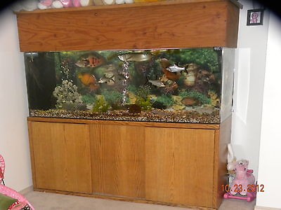 Aquarium, Fish Tank, 200 gallon