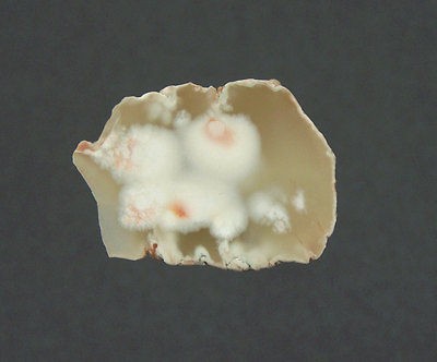 TRANSLUCENT w SNOWBALLS DATOLITE ,NASSAU COPPER MINE,ONTONAGON CO 