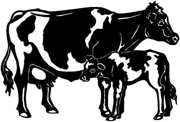 Holstein Cow Vinyl Decal Car Truck Window Sticker