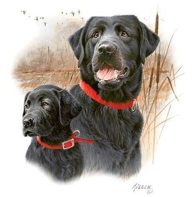 BLACK LABRADOR RET DOG & PUP Legacy FABRIC  Two 18 x 22 inch Fat 