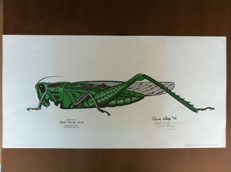 gene gray grasshopper 1975  45 00 buy