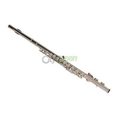 New Closed C Flute Concert Band w/Split E Silver Plated +CASE