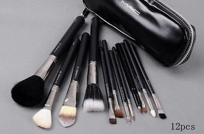 MAC M.A.C PRO COSMETIC MAKE UP FULL SIZE BRUSHES 12 BRUSH W/CASE 