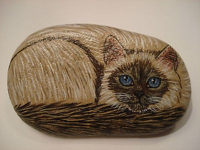 birman ragdoll cat hand panted on a stone pet rock