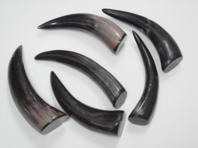 PCS CONCRETE POLISHED WATER BUFFALO HORN 8   9 #F 330