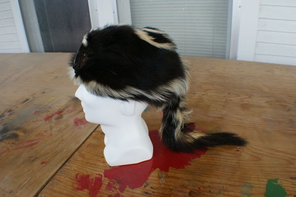 skunk hat in Clothing, 