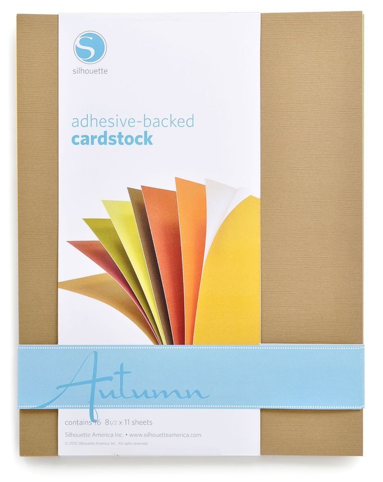   Autumn adhesive backed cardstock 8 1/2 X 11 paper sticky back