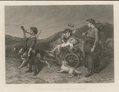 Dog Cart St Bernard Children Play Victorian View Vintage 1885 Antique 