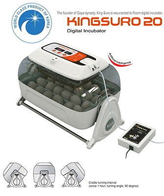 com bird egg incubator brooder mx suro from korea south  