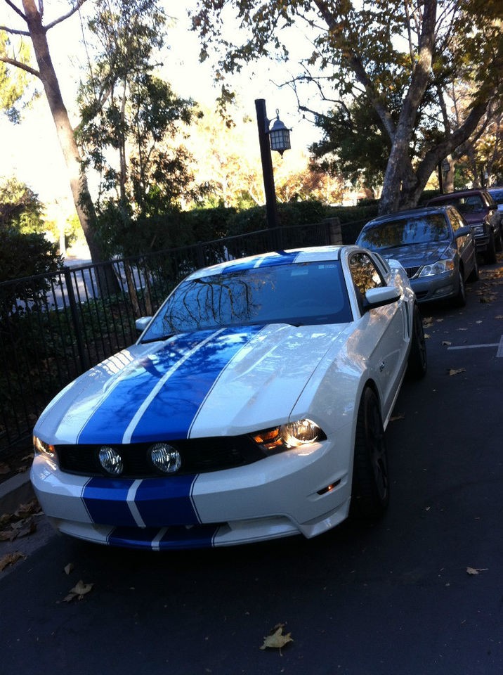 3D Carbon 2010 2011 2012 Ford Mustang GT E Eleanor Style Grill 