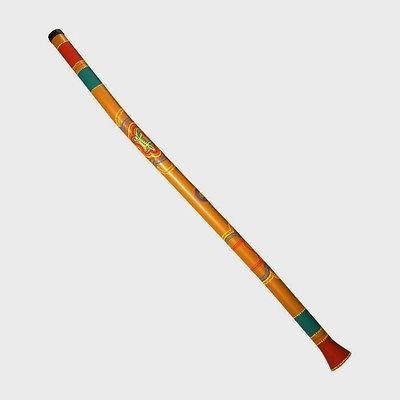 47 didgeridoo hand painted lizard design brand new time left