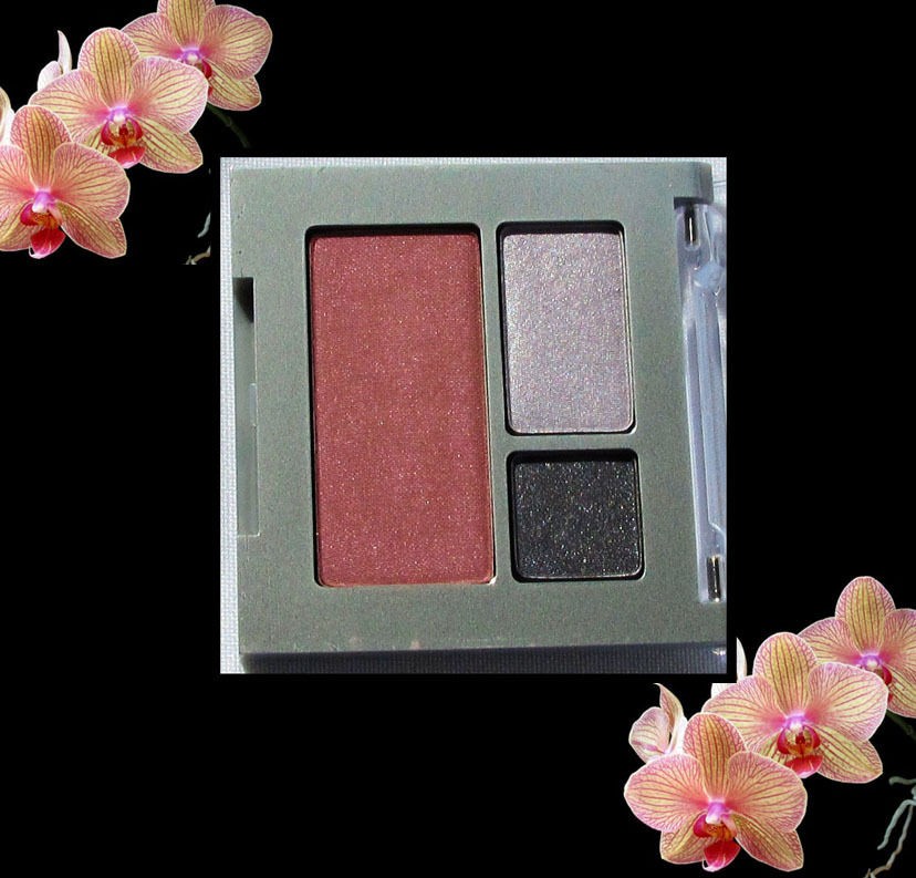 Clinique Colour Surge Eye Shadow Blackberry Frost Powder Blushes 