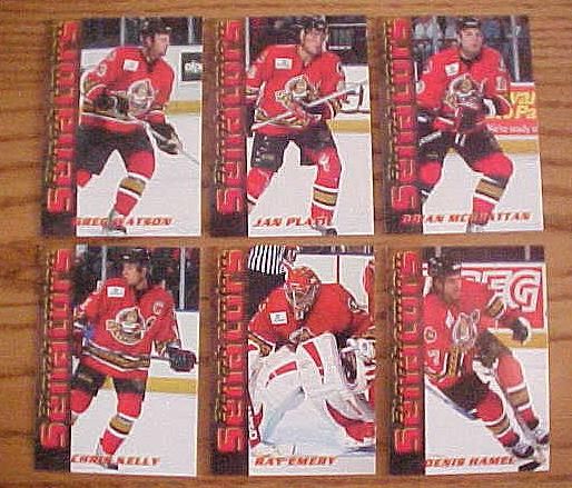 2003 04 AHL Binghamton Senators Hockey Team 24 Card Set
