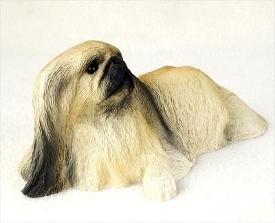 akc recognized this breed in the toy group in 1906