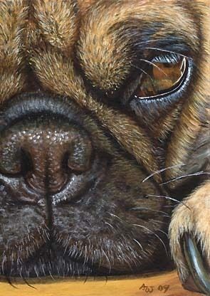 Akiko Original ACEO Painting of A Pug Dog by Award Winning Artist 