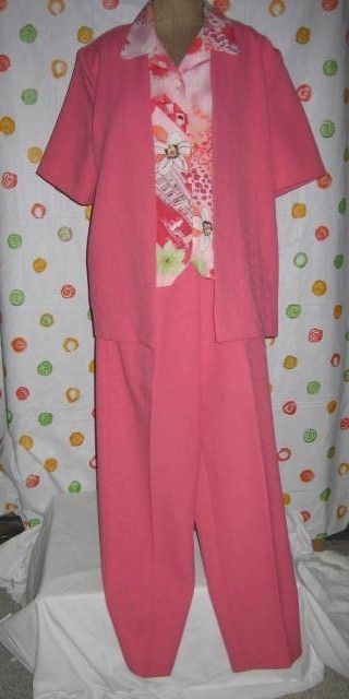 Allison Daley Rose Pink 2 PC Pant Suit 12P Womens Chic