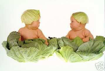 Anne Geddes CABBAGE KIDS 11 x 14 print twins FUN