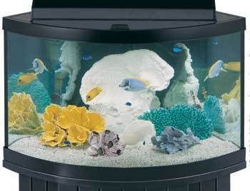 AQUEON MEGAFLOW OVERFLOW 92 GALLON PRE DRILLED CORNER AQUARIUM