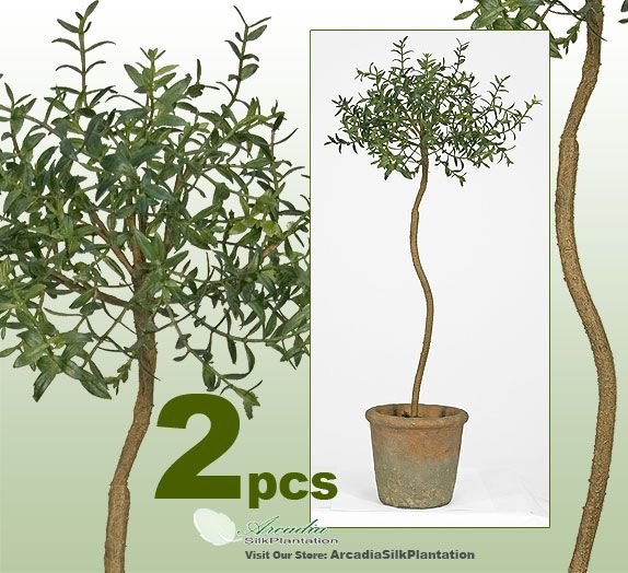 TW O 26 Myrtle Topiary Artificial Trees Silk Plant 710