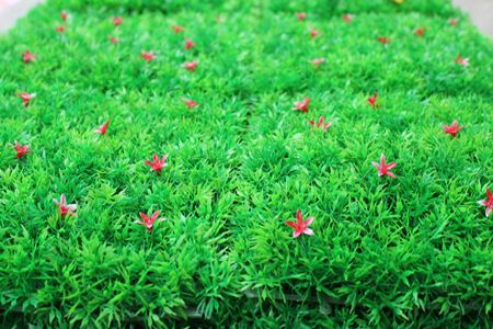 Artificial Turf Decoration Carpet with Plastic Lawn Grass Silk Flowers 