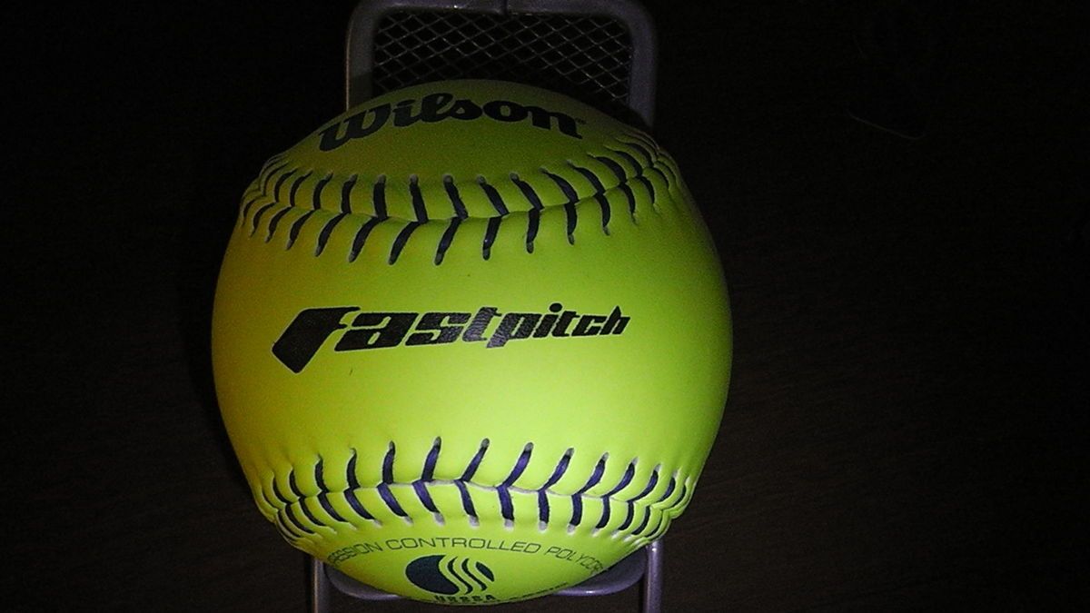 Wilson Fastpitch 12 Softball = 1 Dozen Balls