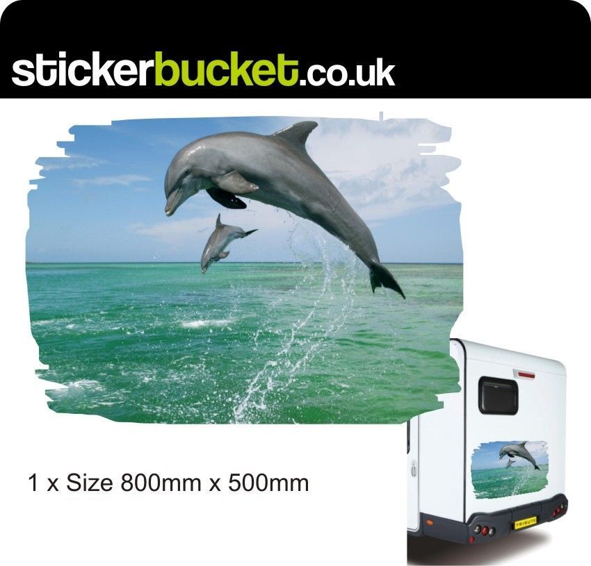 1x DOLPHIN CARAVAN MOTORHOME STICKER/DECAL/TRANSFER/GRAPHIC KIT