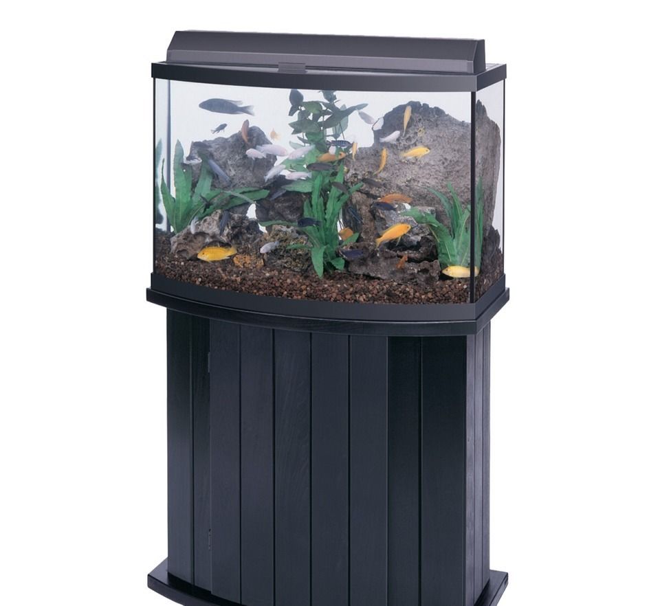 36 Gal Bow Front All Glass Aquarium with Stand