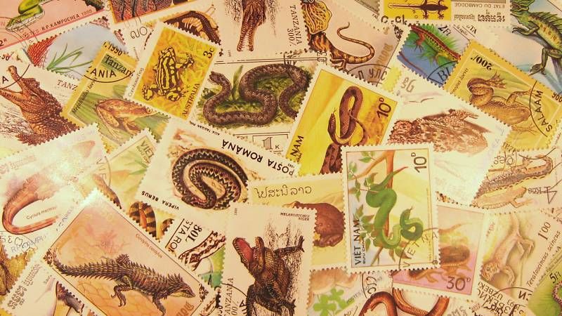 Stamps 50 Reptiles Amphibians Topical Packets Stamp Packet Lot