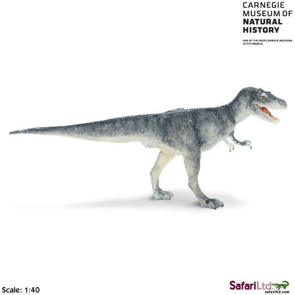 Albertosaurus Carnegie Museum Free SHIP w $25 Safari