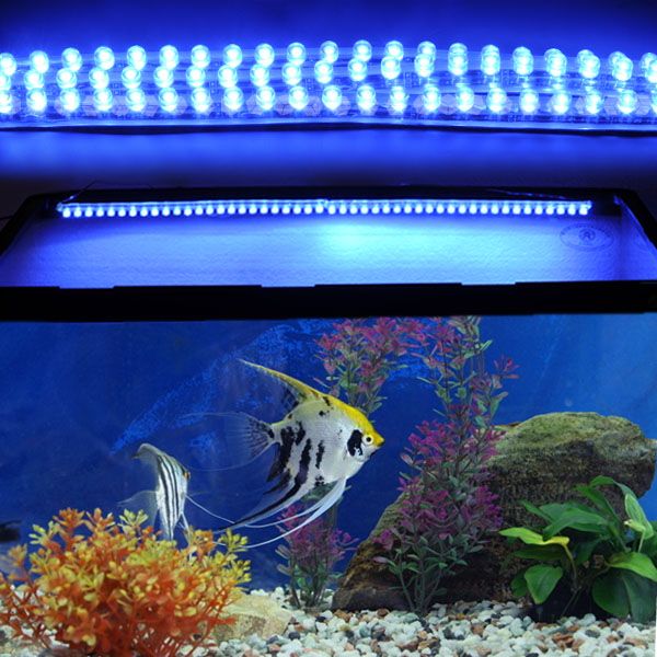 72 LED Moonlight Strip Kit 4 Marine Aquarium Fish Tank
