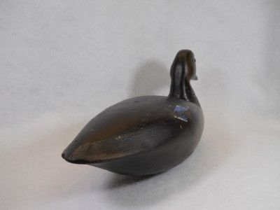 Black Duck Decoy by Capt Jesse Birdsall Barnegat New Jersey