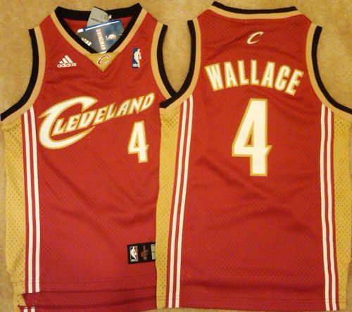 Ben Wallace Cleveland Cavs Swingman Sewn Jersey Youth