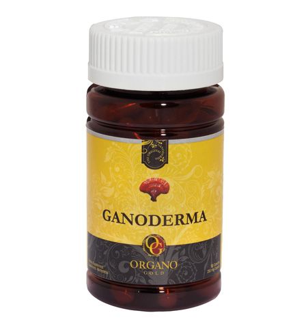 organic ganoderma lucidum culvitated and extracted using shell broken 