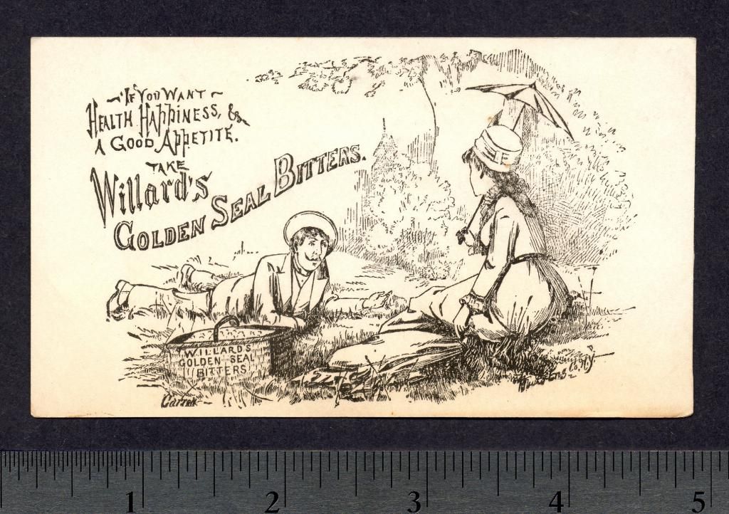 Willards Golden Seal Bitters Cure Picnic Ad Trade Card