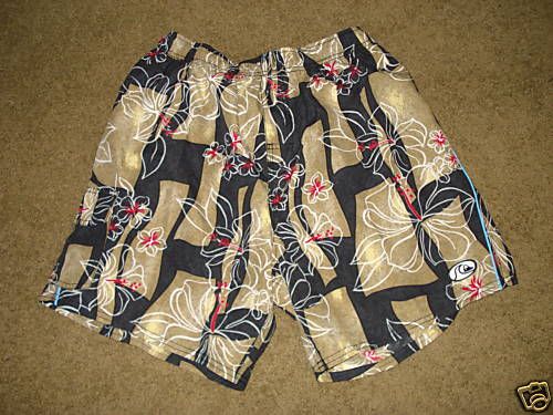 Quiksilver Boca Grande Mens Shorts Water Trunks M $45