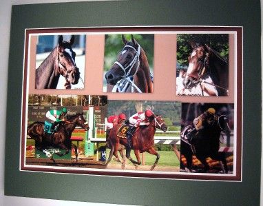 Fabulous Unique Harve de Grace Zenyatta Rachel Alexandra Dbl Mat Photo 