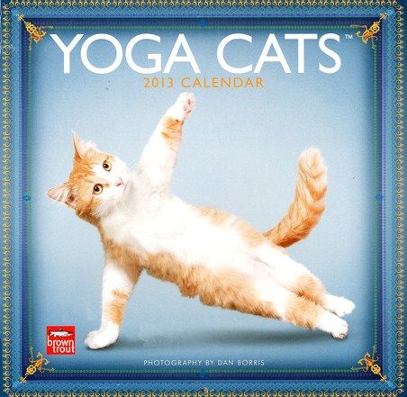 New Yoga Cats Photography by Daniel Borris 2013 Square Calendar