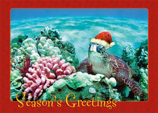 12 Hawaiian Holiday Card Hawaii Christmas Seasons Aloha