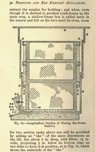  to Raise Honey Wax Beekeeping Make Money Apiary Comb Business