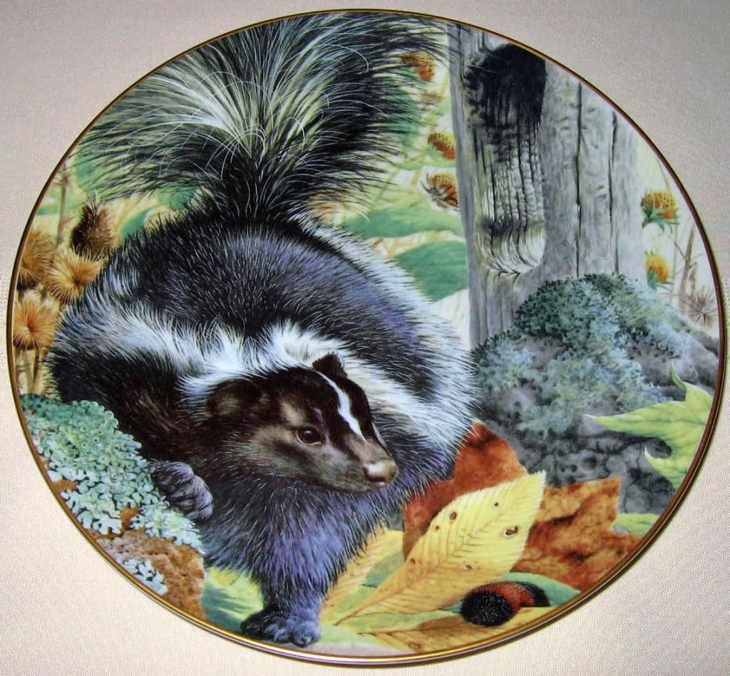 Geoff Mowery Country Diary September Morning Stroll Skunk Animal