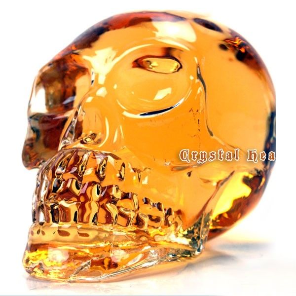 Crystal Head Vodka Bottle A Special Gift   Water Clear