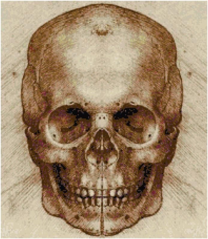 Da Vinci Skull Sketch Counted Cross Stitch Pattern Art