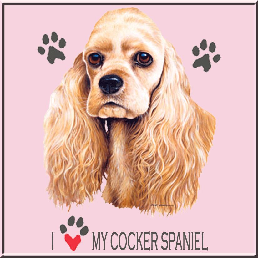 david_wenzel_i_love_my_blonde_american_cocker_spaniel_dog_breed_pink