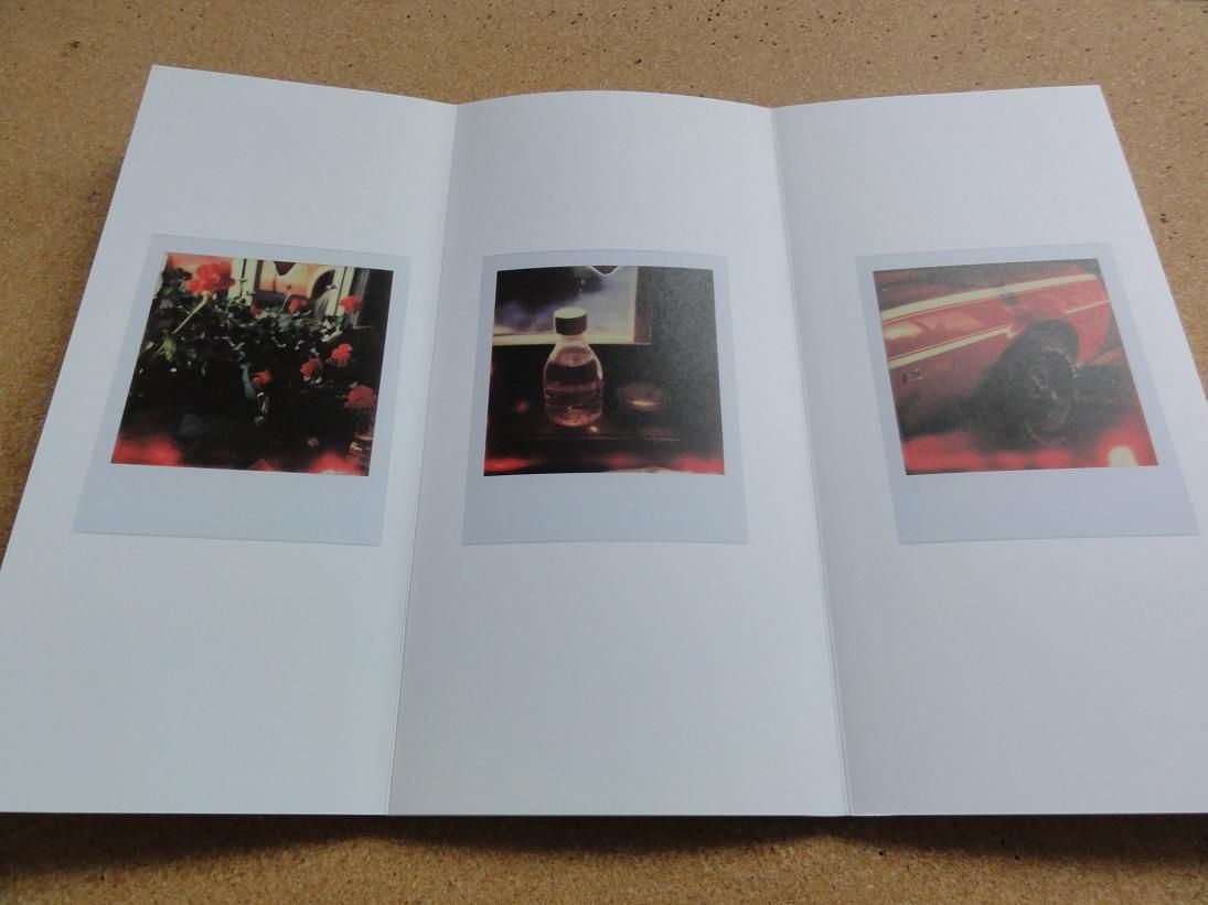 David Sylvian Glowing Enigmas Exhibition Photography Catalogue Book