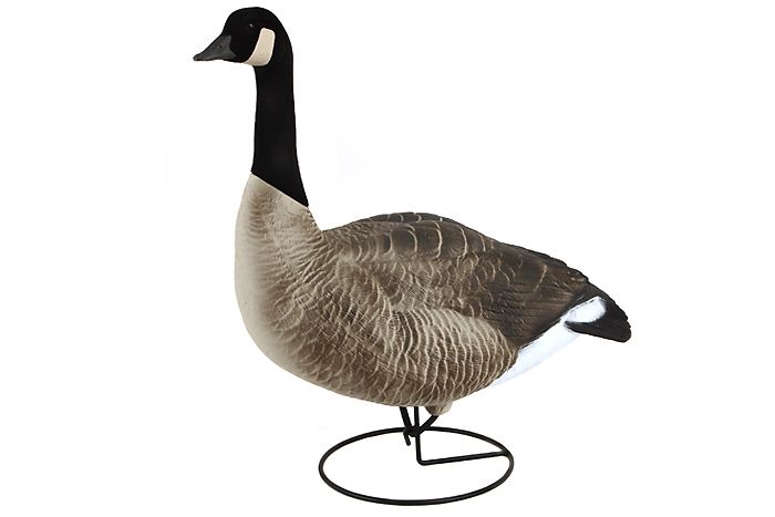 Dakota Decoy Company Premium Canada Goose Gunning Decoys